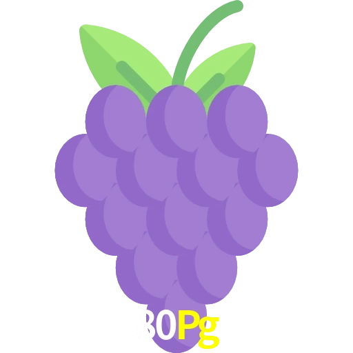 80Pg